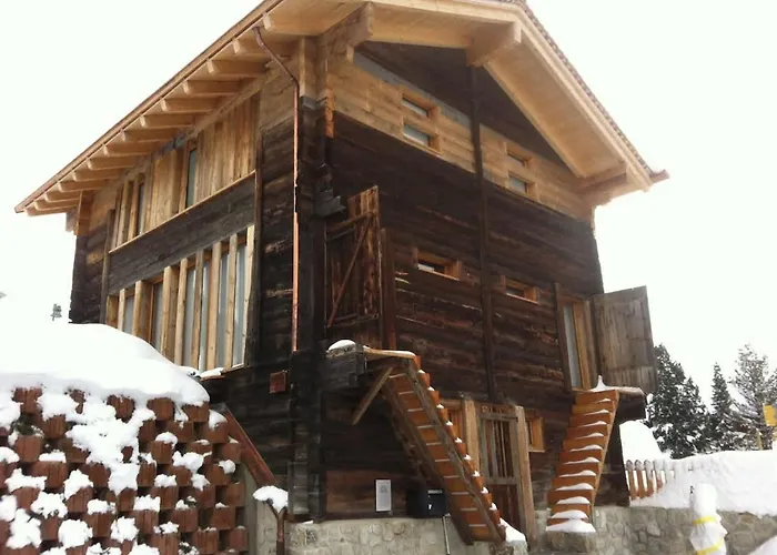 Ursis Stall Münster